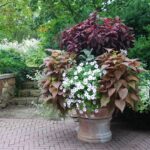 109_flower-pot-arrangments-2