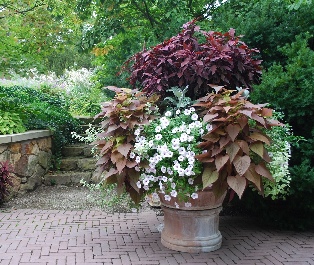 109_flower-pot-arrangments-2