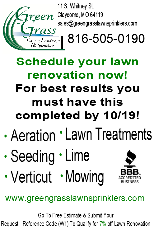 Lawn Renovation