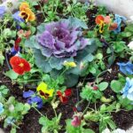 Flower Pot 6