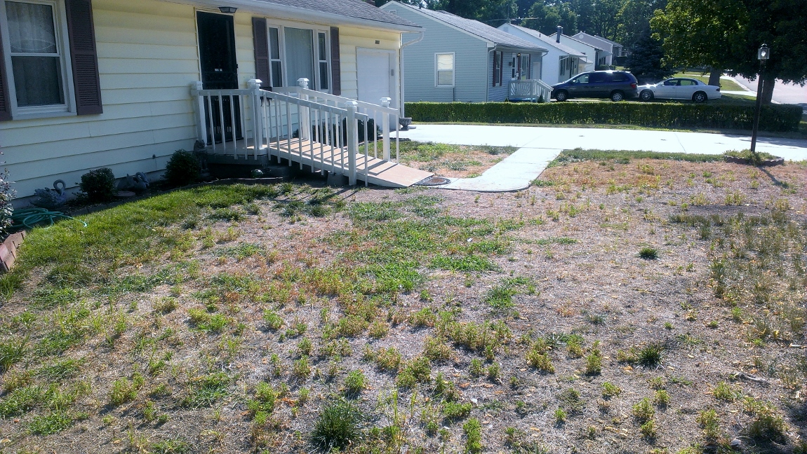 Lawn Reno 2 (1150x648)