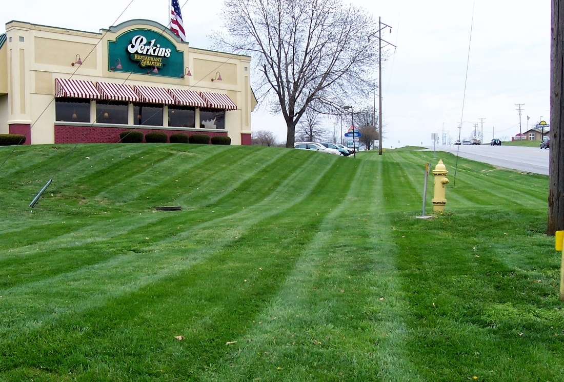 Mowing 1-5 (1100x745)